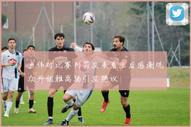 卢伟对比赛判罚发表看法后感谢观众并优雅离场引发热议